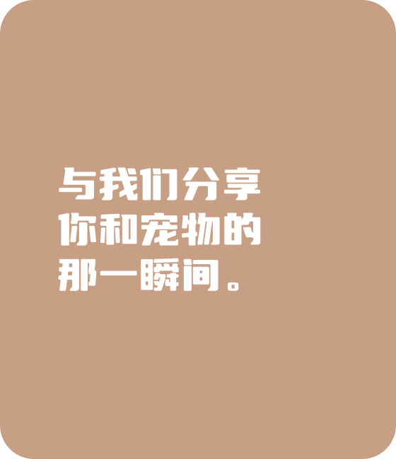 米兰中国官方网宠物，无处不在